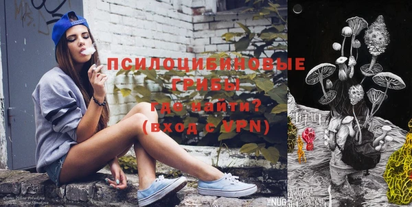 шишки Семёнов