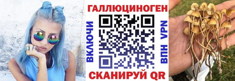 Купить где  Игра  Галлюциногенные грибы Magic Shrooms 